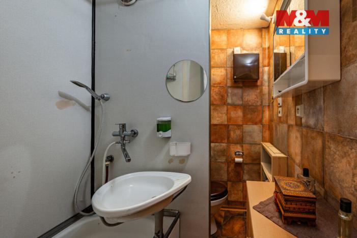 Prodej bytu 1+1, Mariánské Lázně, Družstevní, 35 m2