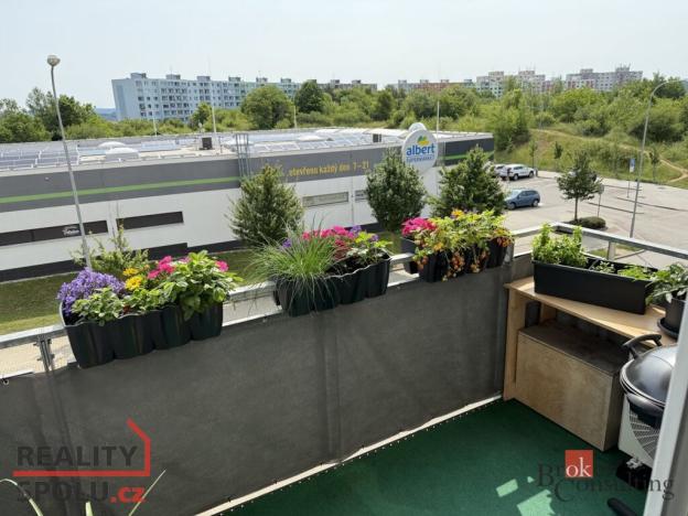 Pronájem bytu 1+kk, Brno, Říčanská, 33 m2