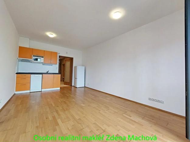 Pronájem bytu 1+kk, Praha - Žižkov, Olšanská, 33 m2