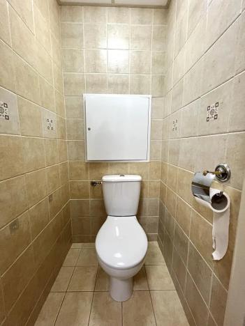 Pronájem bytu 2+1, Chodov, Revoluční, 56 m2