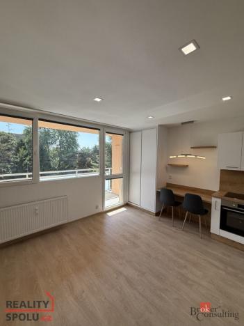 Pronájem bytu 1+kk, Plzeň, Sokolovská, 34 m2