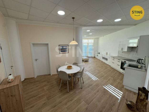 Pronájem bytu 3+kk, Frýdek-Místek, Havlíčkova, 118 m2