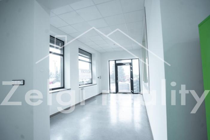 Pronájem skladu, Bojkovice, 234 m2