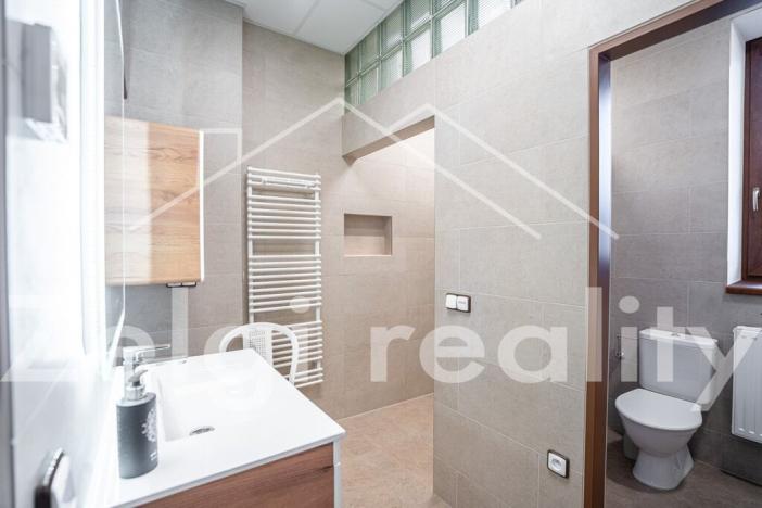 Pronájem skladu, Bojkovice, 234 m2