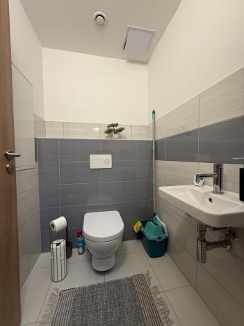 Pronájem bytu 3+kk, Pardubice - Zelené Předměstí, Hronovická, 100 m2