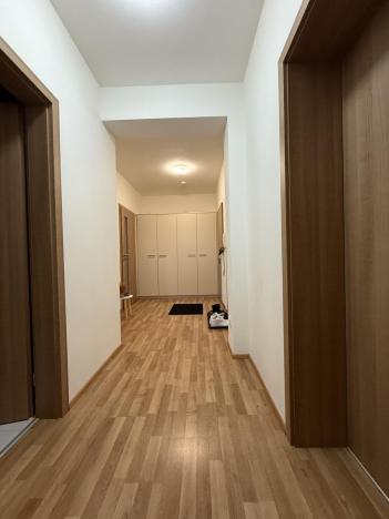 Pronájem bytu 3+kk, Pardubice - Zelené Předměstí, Hronovická, 100 m2