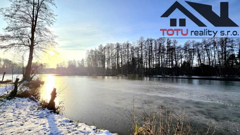 Prodej rybníku, Černožice, 44772 m2