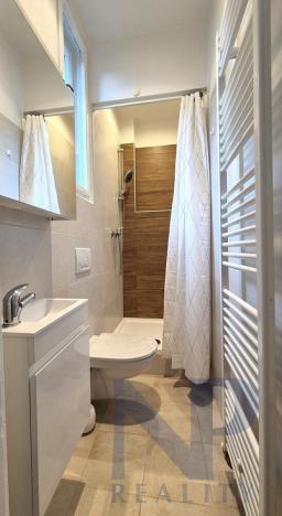 Pronájem bytu 1+kk, Praha - Libeň, V Holešovičkách, 20 m2