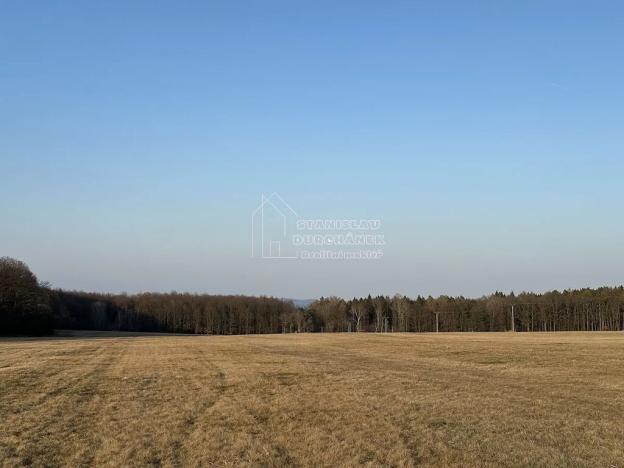 Prodej pole, Hvozdec, 2887 m2