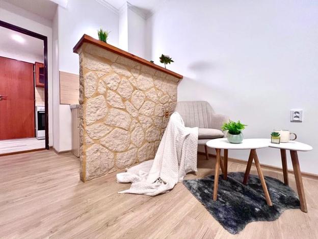 Prodej bytu 1+1, Praha - Žižkov, Biskupcova, 29 m2