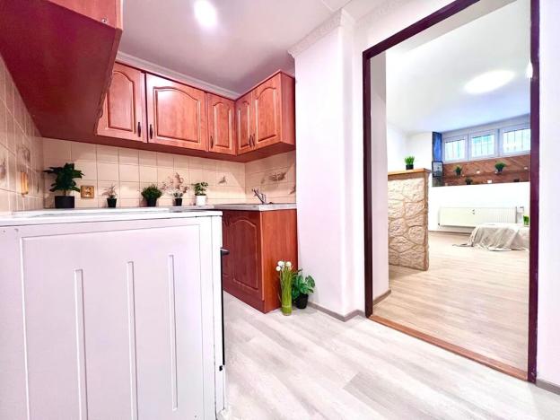 Prodej bytu 1+1, Praha - Žižkov, Biskupcova, 29 m2