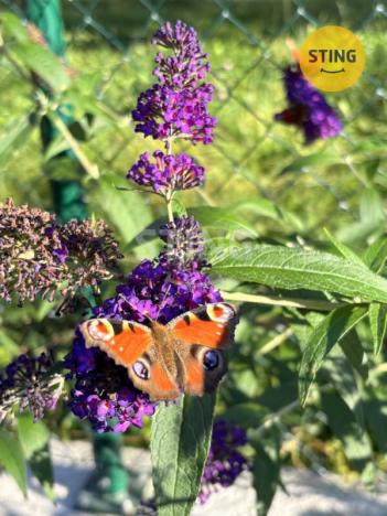 Prodej chaty, Třebíč, ZK Poušov II., 30 m2