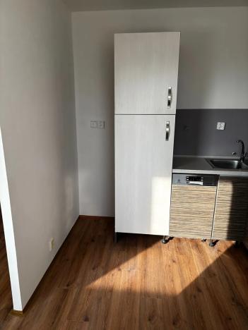 Prodej bytu 3+1, Litvínov, Hamerská, 69 m2