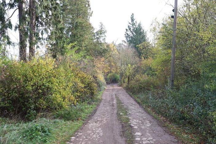 Prodej pozemku pro bydlení, Nespeky, 7717 m2