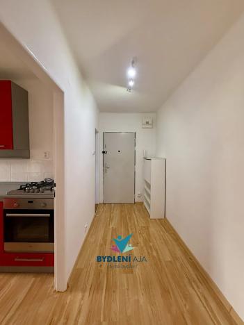 Pronájem bytu 1+1, Teplice, Duchcovská, 37 m2