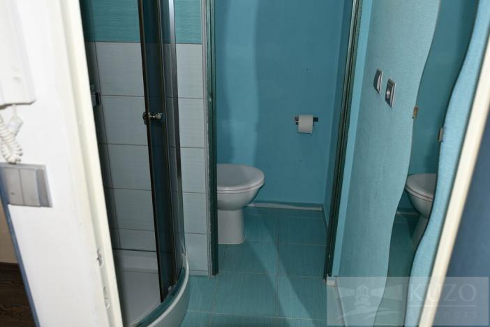 Pronájem bytu 1+1, Plzeň, Tachovská, 39 m2