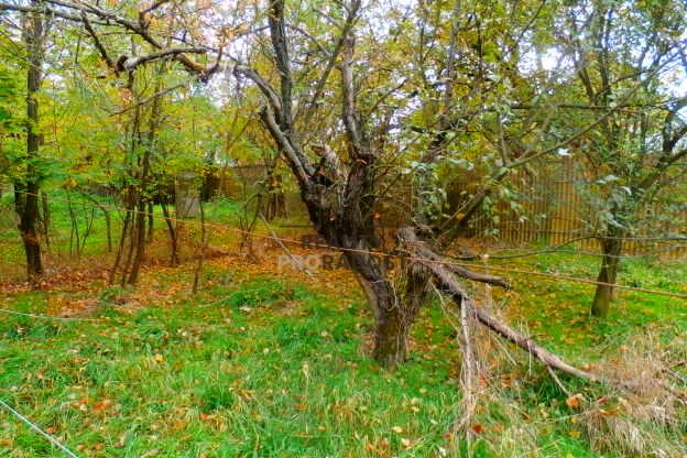 Prodej rodinného domu, Krhovice, 80 m2