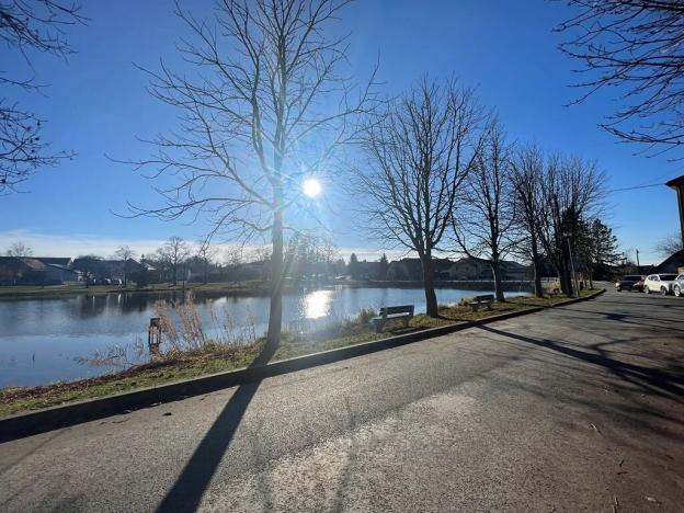 Pronájem rodinného domu, Zvole, 260 m2