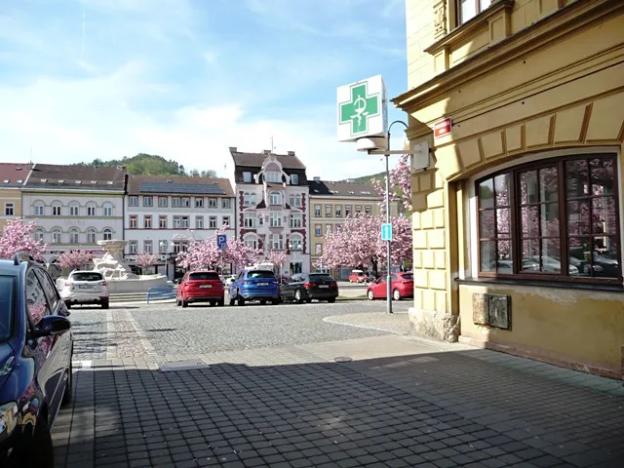 Prodej bytu 1+kk, Děčín, Pohraniční, 20 m2