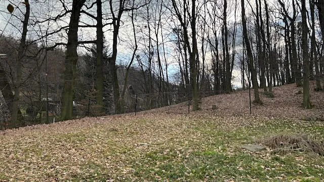 Prodej pozemku pro bydlení, Háj ve Slezsku, Pod Lesem, 693 m2