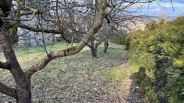 Prodej pozemku pro bydlení, Háj ve Slezsku, Pod Lesem, 693 m2