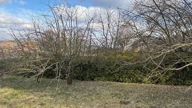 Prodej pozemku pro bydlení, Háj ve Slezsku, Pod Lesem, 693 m2