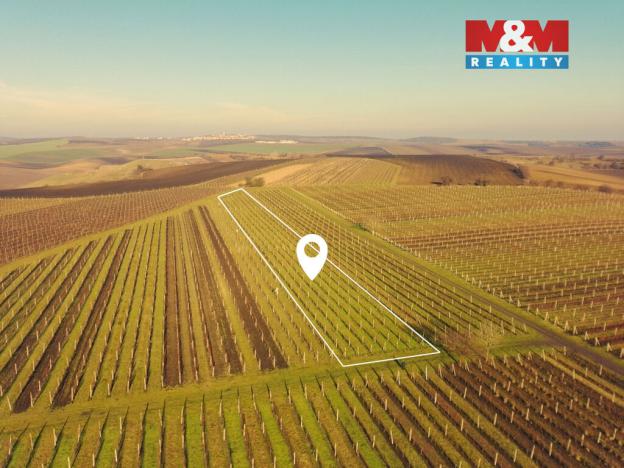 Prodej pole, Velké Bílovice, 3600 m2