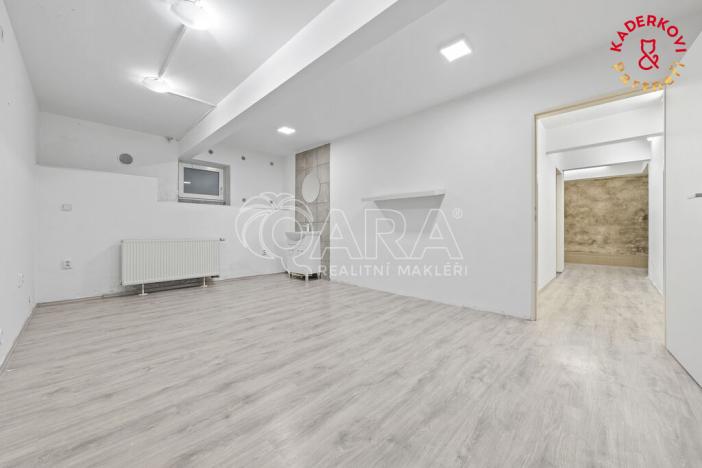 Prodej obchodního prostoru, Brno, Lidická, 172 m2