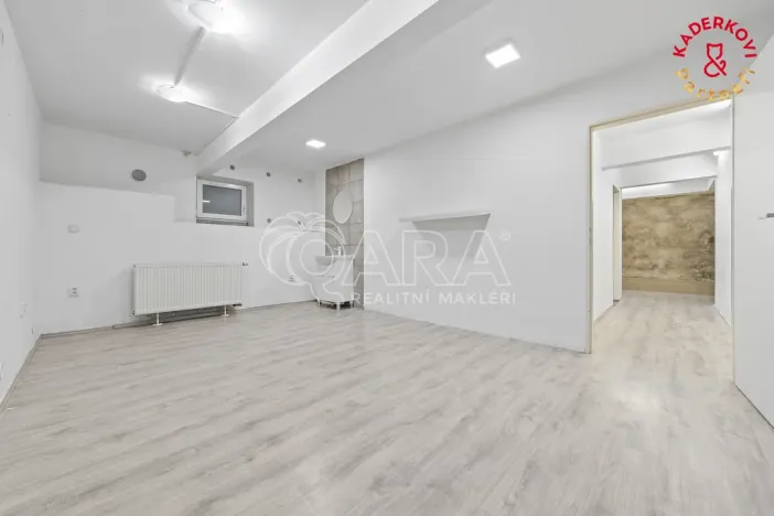 Prodej obchodního prostoru, Brno, Lidická, 172 m2