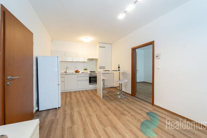 Prodej bytu 2+kk, Praha - Žižkov, U kněžské louky, 43 m2