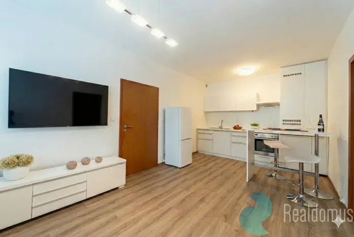 Prodej bytu 2+kk, Praha - Žižkov, U kněžské louky, 43 m2