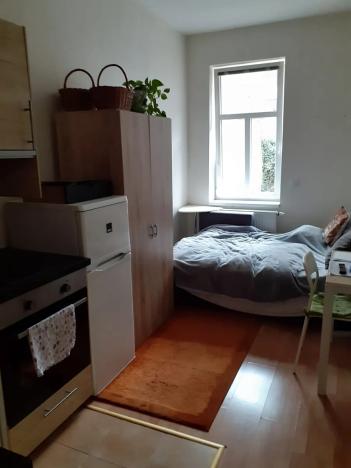 Pronájem bytu 1+kk, Praha - Michle, Čapkova, 20 m2