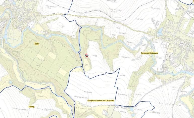 Prodej lesa, Ronov nad Doubravou, 964 m2