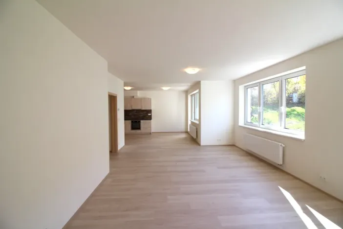 Pronájem bytu 3+kk, Brno, Vídeňská, 100 m2