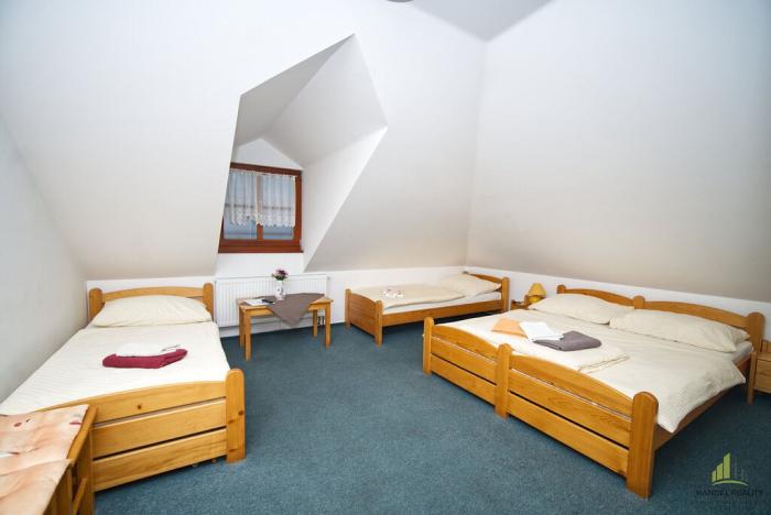Prodej ubytování, Horní Věstonice, 350 m2