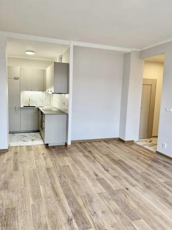 Prodej bytu 2+kk, Praha - Holešovice, Ortenovo náměstí, 50 m2