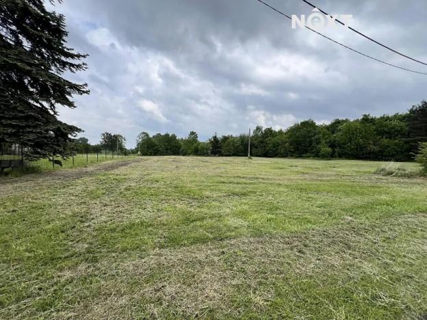 Pronájem pole, Doubrava, 7056 m2