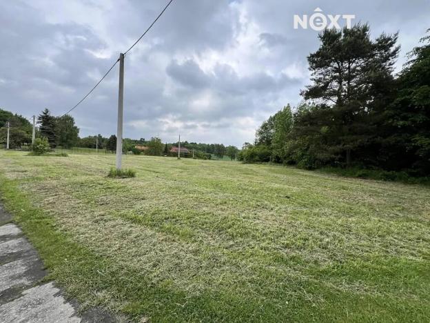 Pronájem pole, Doubrava, 7056 m2