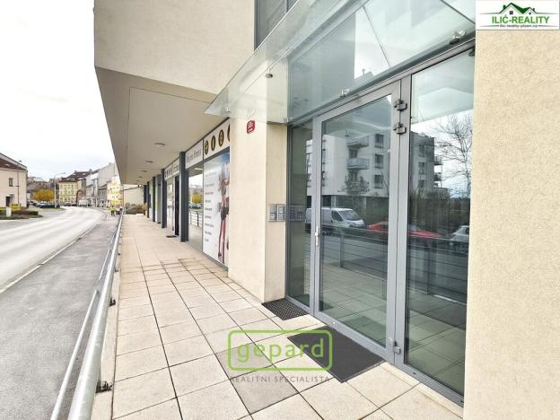 Pronájem bytu 3+kk, Plzeň, Na Roudné, 100 m2