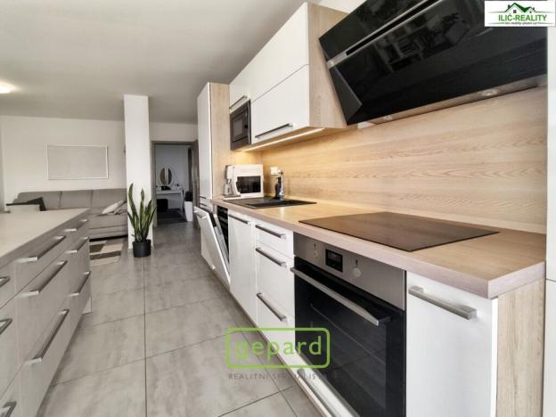 Pronájem bytu 3+kk, Plzeň, Na Roudné, 100 m2