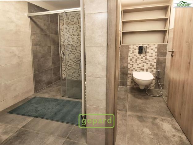 Pronájem bytu 3+kk, Plzeň, Na Roudné, 100 m2