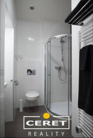 Prodej bytu 2+kk, Praha - Žižkov, Sudoměřská, 48 m2