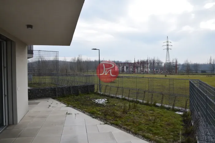 Pronájem bytu 2+kk, Ostrava, F. X. Riepla, 53 m2