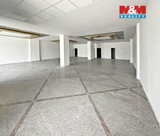 Pronájem obchodního prostoru, Mladá Boleslav - Mladá Boleslav II, Krátká, 265 m2