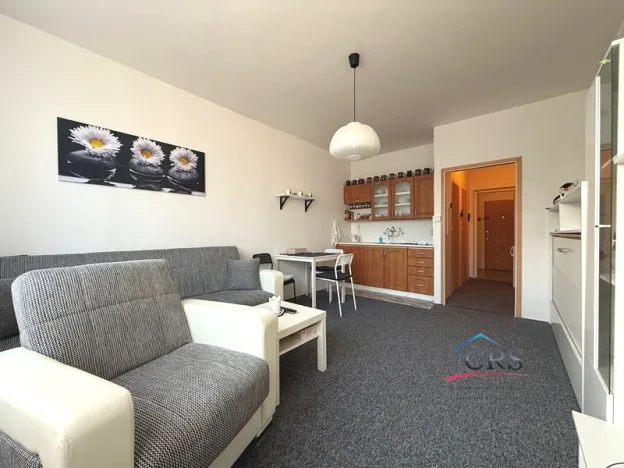 Prodej bytu 1+kk, Praha - Záběhlice, Narcisová, 27 m2