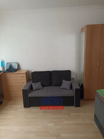 Pronájem bytu 1+1, České Budějovice, J. Buděšínského, 38 m2