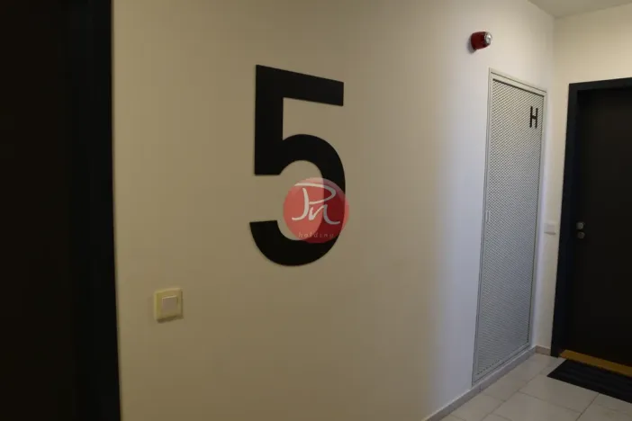 Pronájem bytu 2+kk, Ostrava, F. X. Riepla, 60 m2