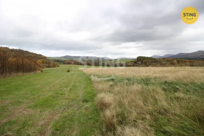 Prodej louky, Hostašovice, 2457 m2