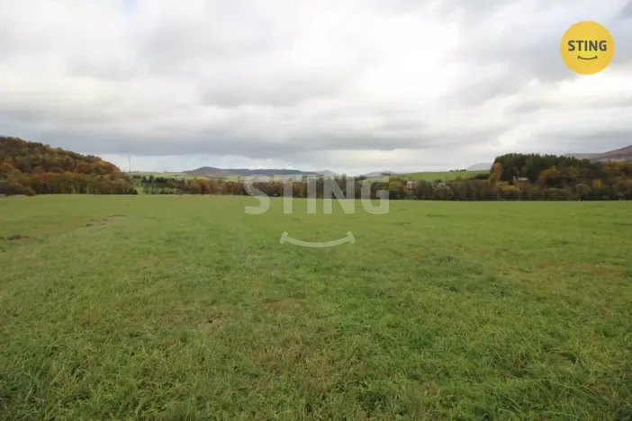 Prodej louky, Hostašovice, 2457 m2