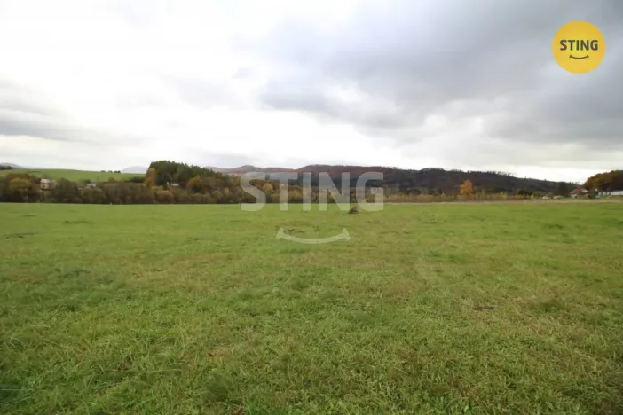 Prodej louky, Hostašovice, 2457 m2